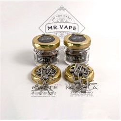mr_vape_slika_in_logo_blured-2